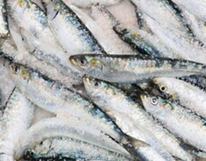 多年行業(yè)經(jīng)驗